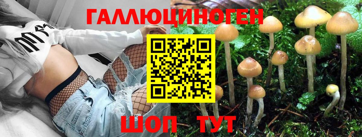 Галлюциногенные грибы Magic Shrooms Гатчина
