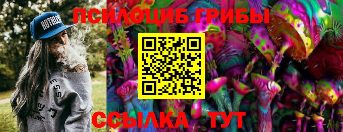 Псилоцибиновые грибы мухоморы  Псилоцибиновые грибы Psilocybine cubensis  Гатчина  Вход с VPN 